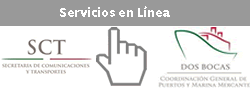 Servicios en línea