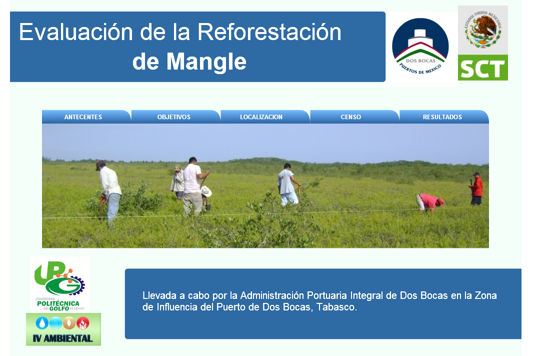 Puerto Dos Bocas - Presentacion Evaluación al Programa de Reforestación