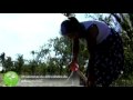 Puerto Dos Bocas - programa de reforestacion
