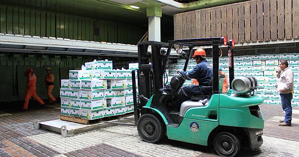Continúan las exportaciones de plátano al mediterráneo a través del Puerto de Dos Bocas