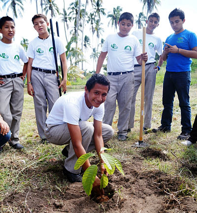 Programa de Reforestación