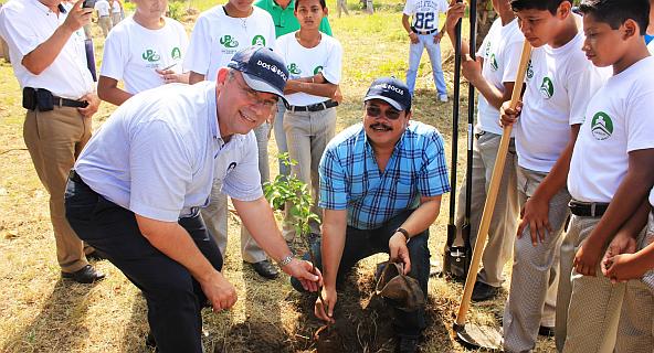 Programa de Reforestación