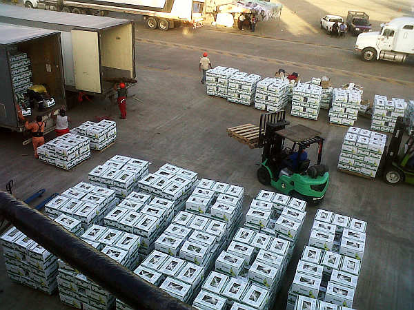 Inicia temporada de exportación de plátano 2013 en el puerto de Dos Bocas
