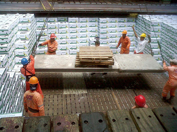 Inicia temporada de exportación de plátano 2013 en el puerto de Dos Bocas