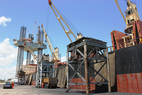Increasing the mineral and agricultural bulk, the priority of the port of Dos Bocas on 2013