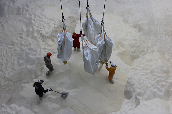 Increasing the mineral and agricultural bulk, the priority of the port of Dos Bocas on 2013