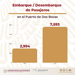 Gráfica Embarque / Desembarque de pasajeros
